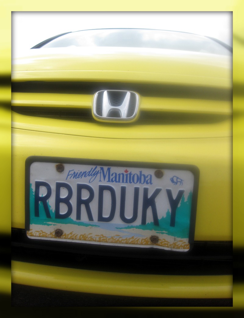 License plate showing the fun and laughter of someone enjoying ruber ducky